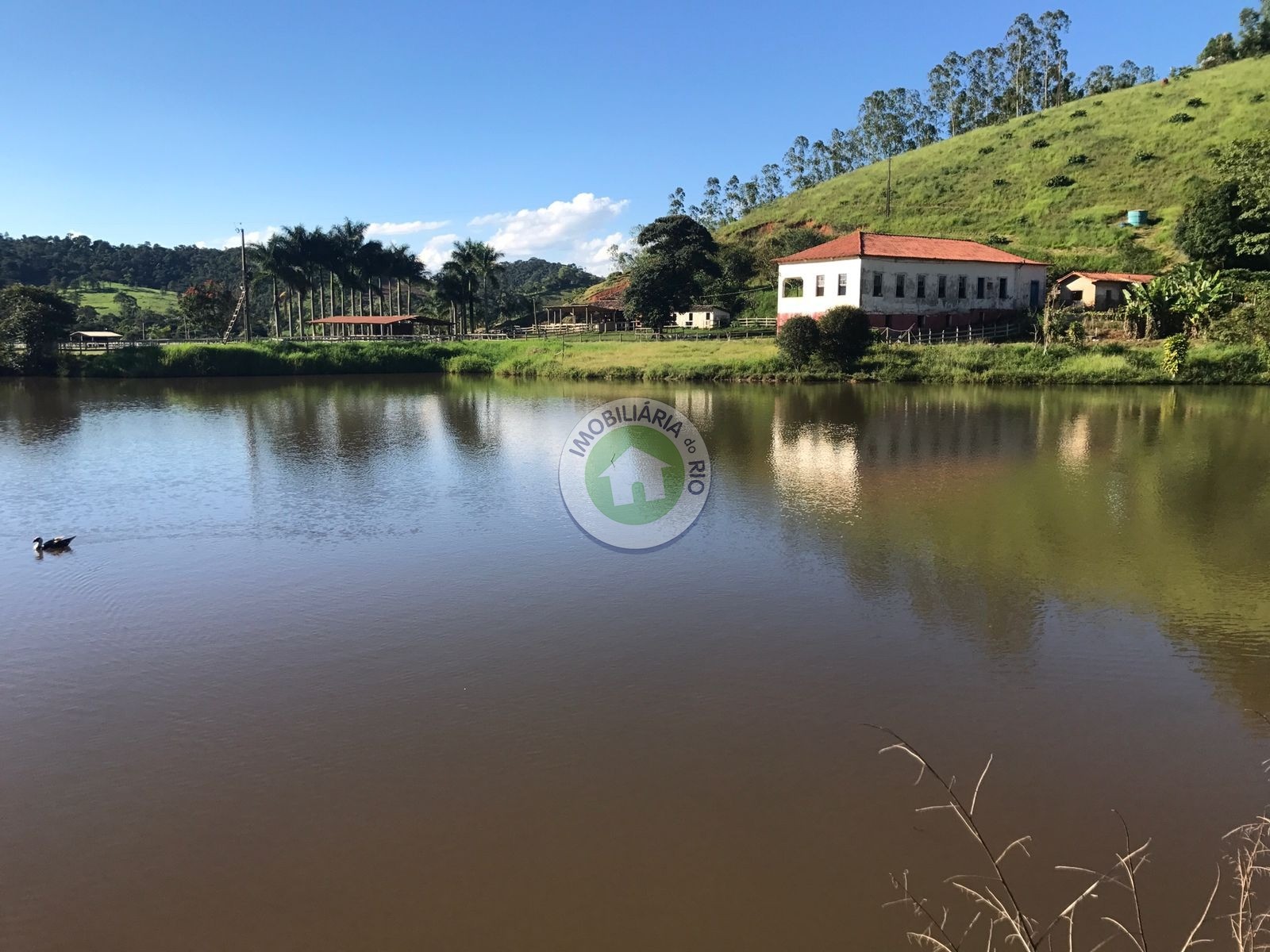 Fazenda à venda com 4 quartos, 2430000m² - Foto 1