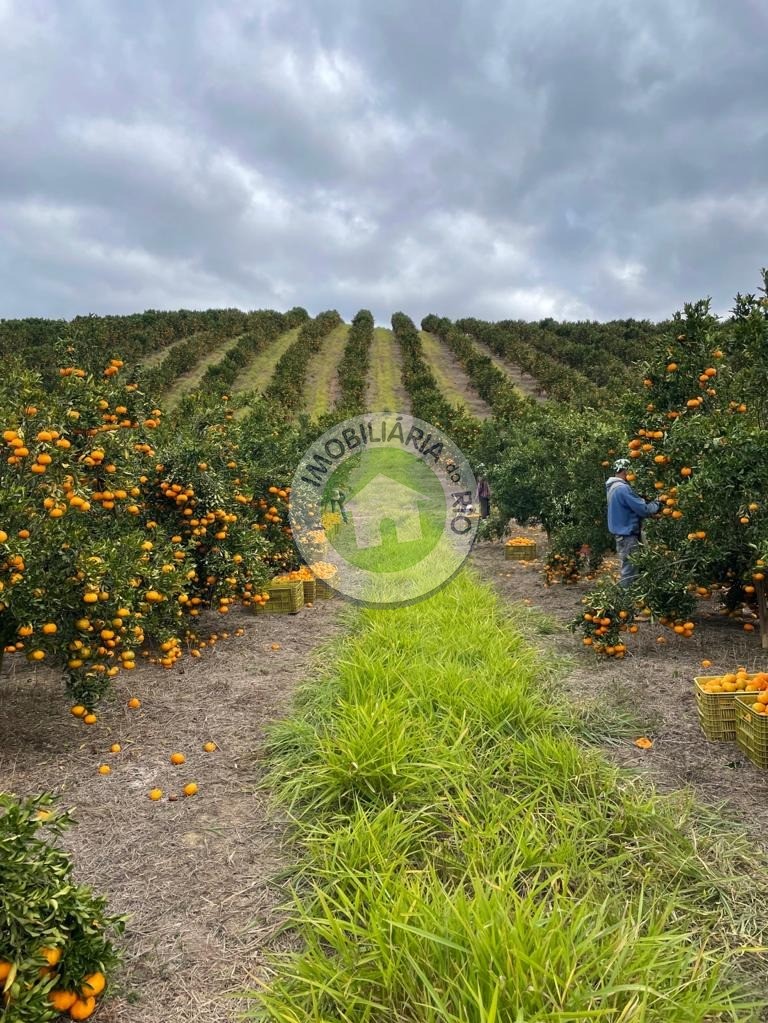 Fazenda à venda com 4 quartos, 2430000m² - Foto 34