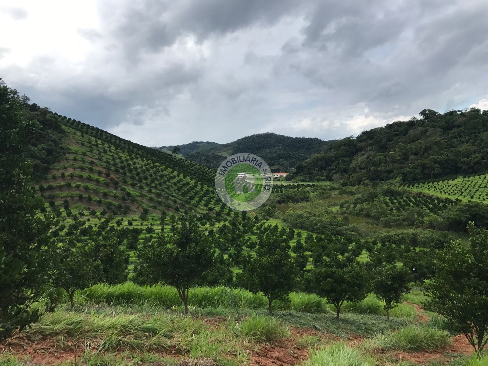 Fazenda à venda com 4 quartos, 2430000m² - Foto 12