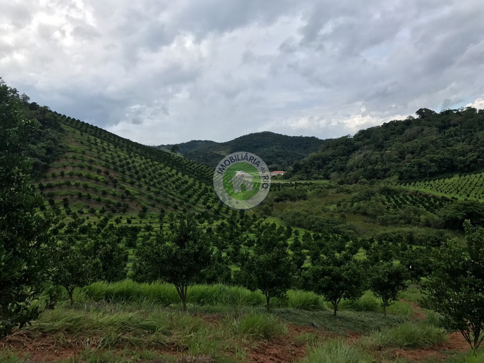 Fazenda à venda com 4 quartos, 2430000m² - Foto 22