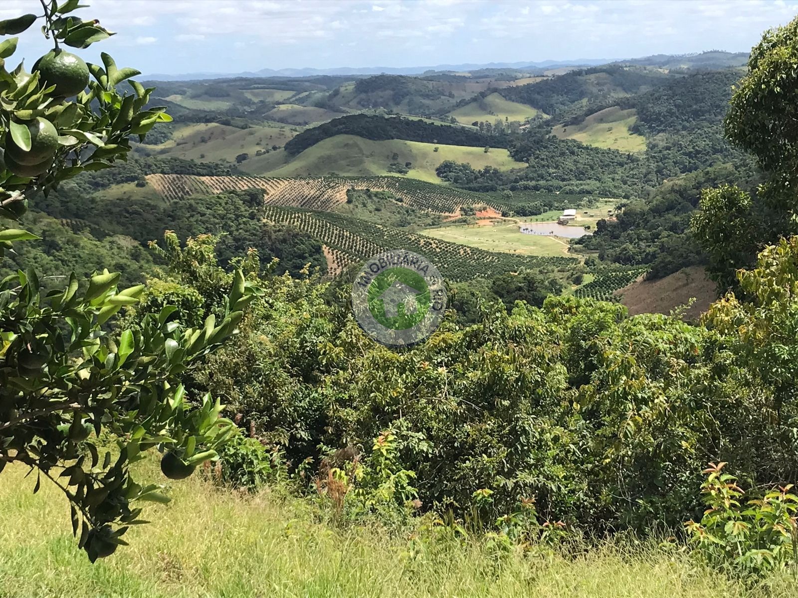 Fazenda à venda com 4 quartos, 2430000m² - Foto 14