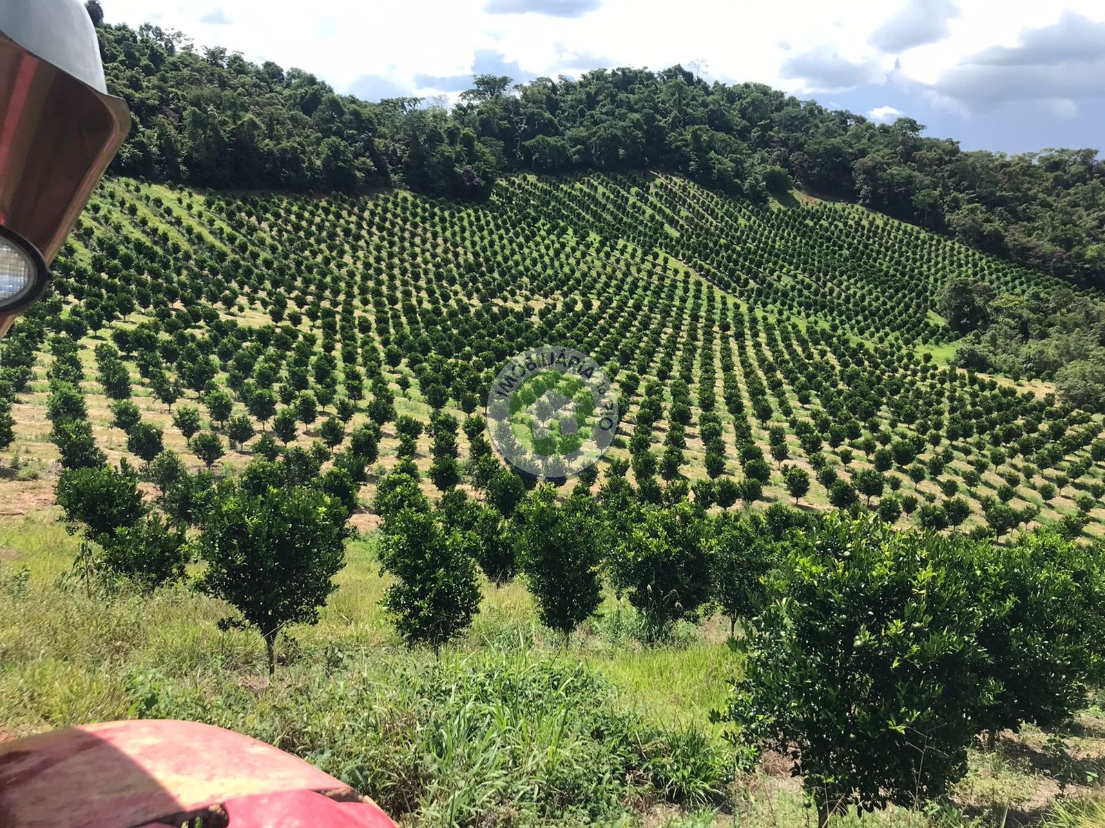 Fazenda à venda com 4 quartos, 2430000m² - Foto 3