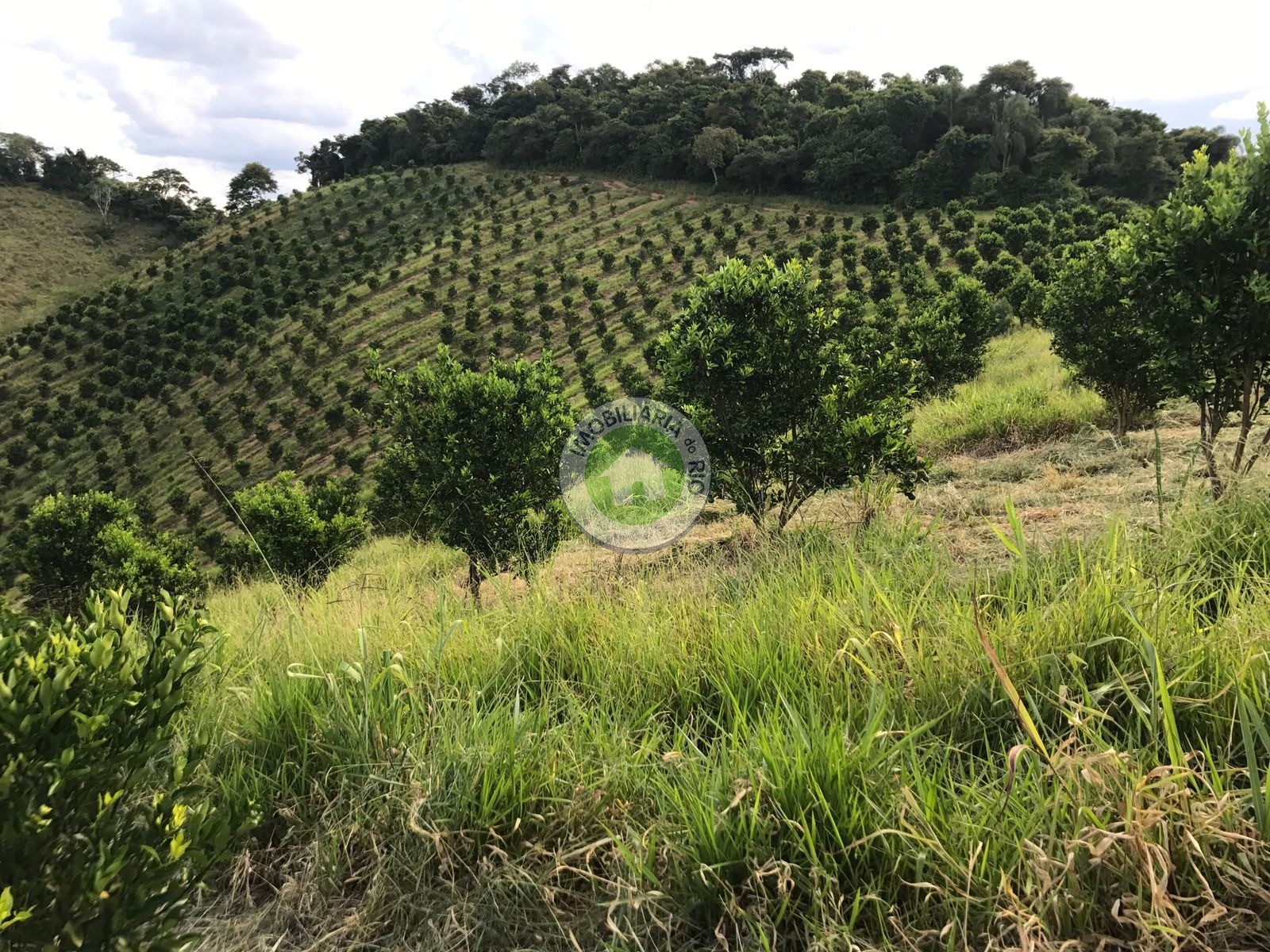 Fazenda à venda com 4 quartos, 2430000m² - Foto 16