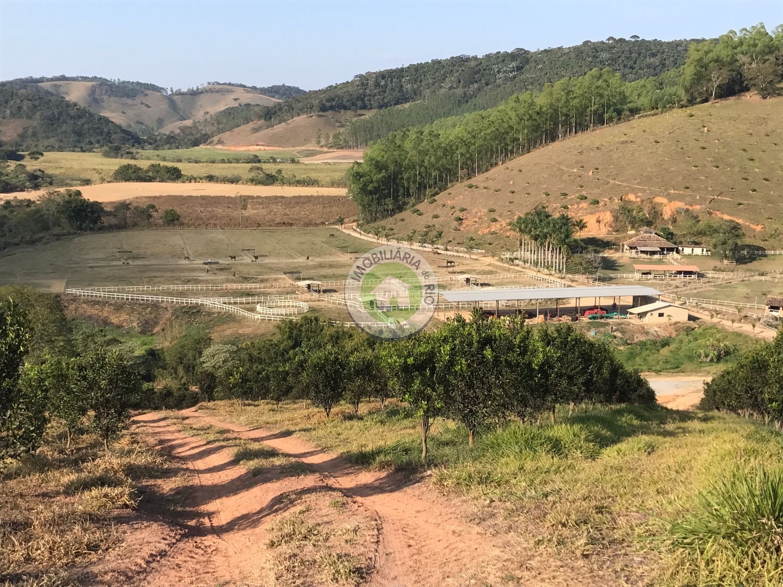 Fazenda à venda com 4 quartos, 2430000m² - Foto 7