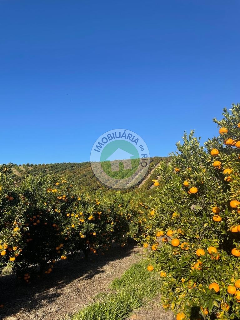 Fazenda à venda com 4 quartos, 2430000m² - Foto 30