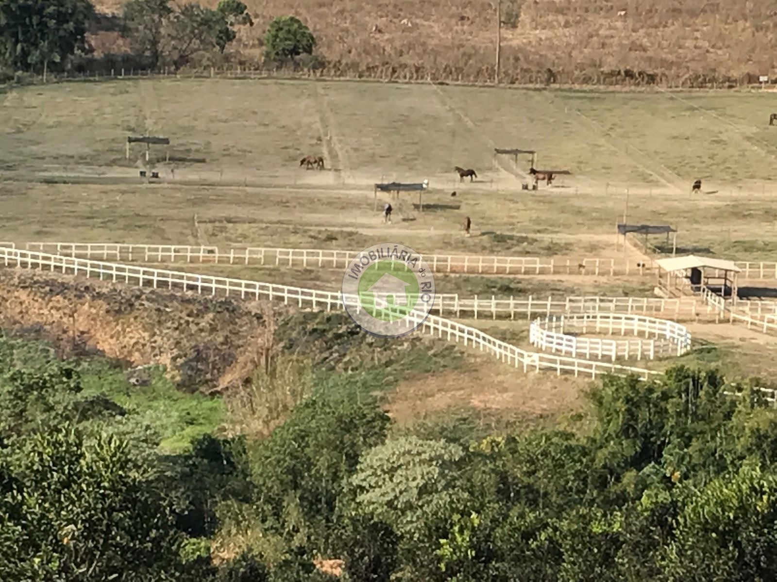 Fazenda à venda com 4 quartos, 2430000m² - Foto 8