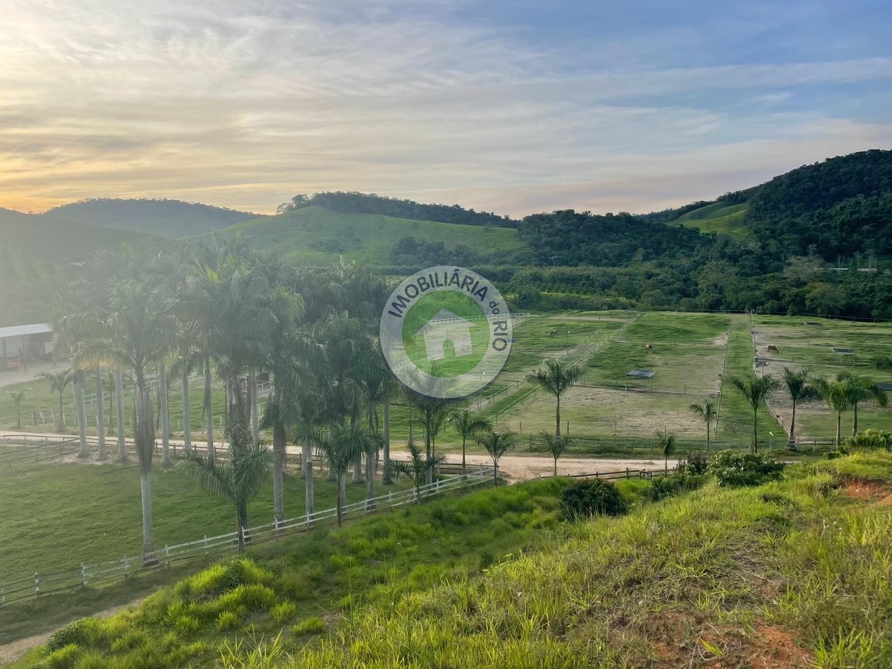 Fazenda à venda com 4 quartos, 2430000m² - Foto 25