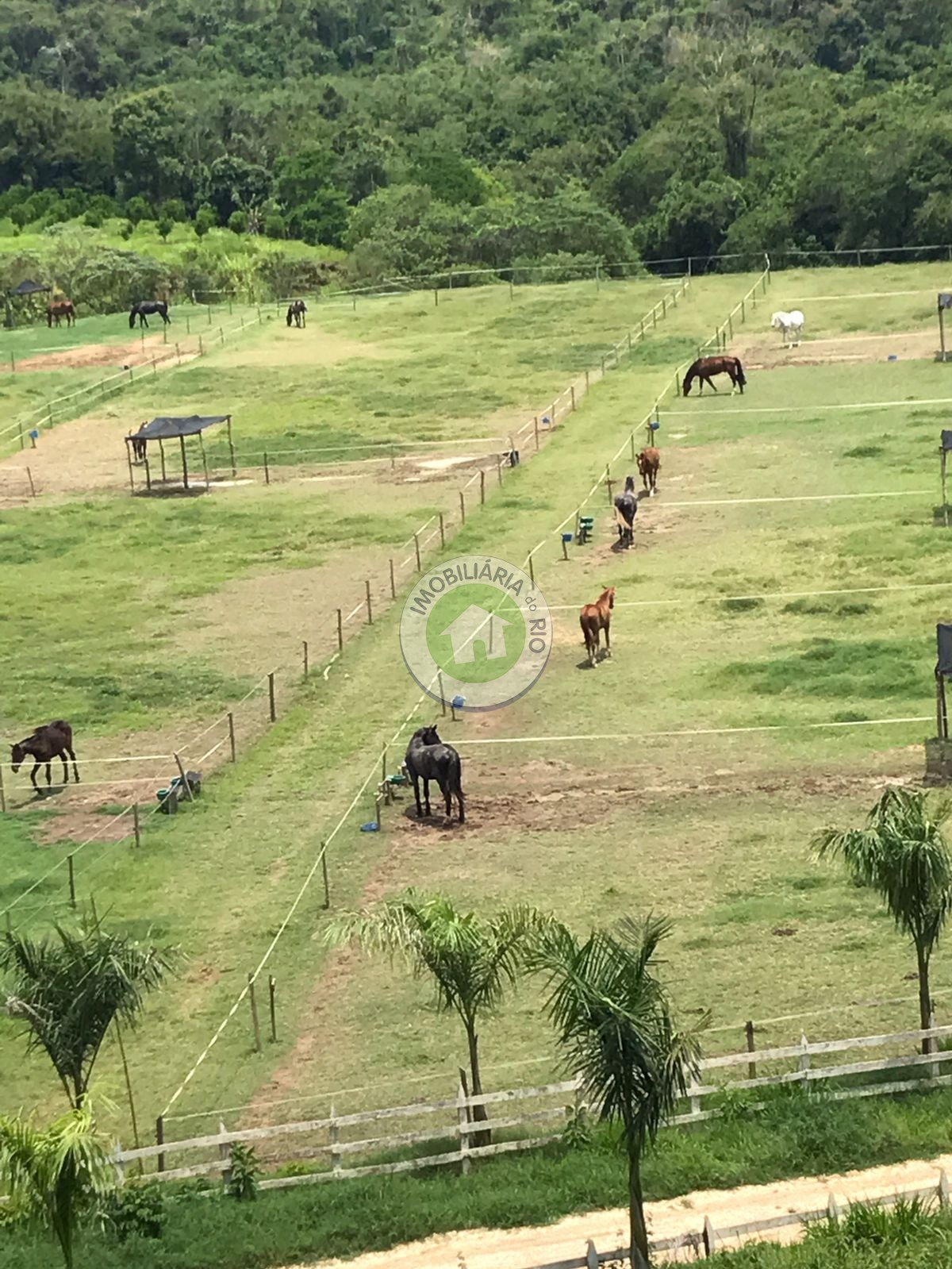 Fazenda à venda com 4 quartos, 2430000m² - Foto 18