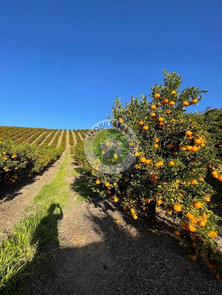 Fazenda à venda com 4 quartos, 2430000m² - Foto 32