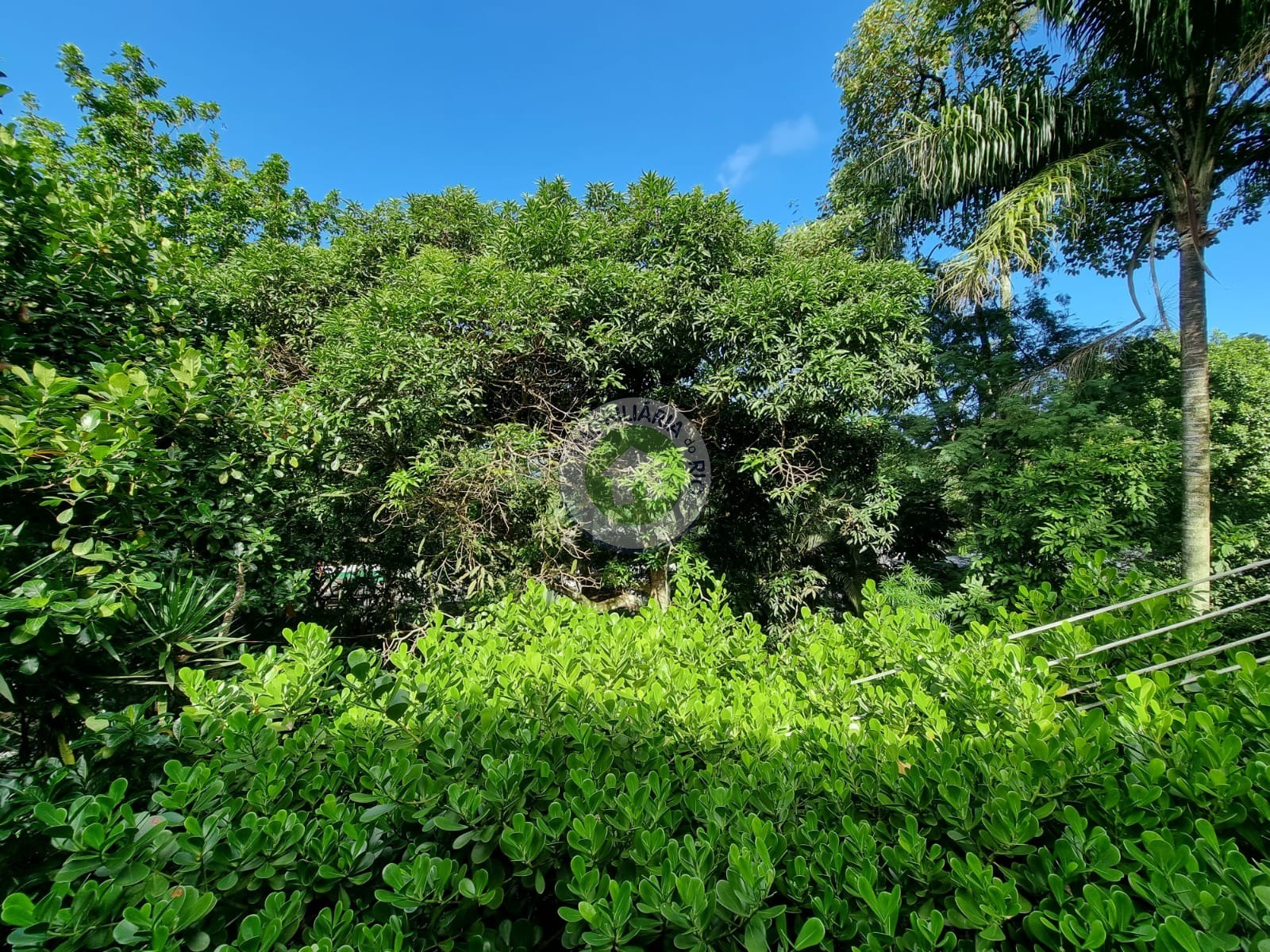 Casa à venda com 5 quartos, 300m² - Foto 64