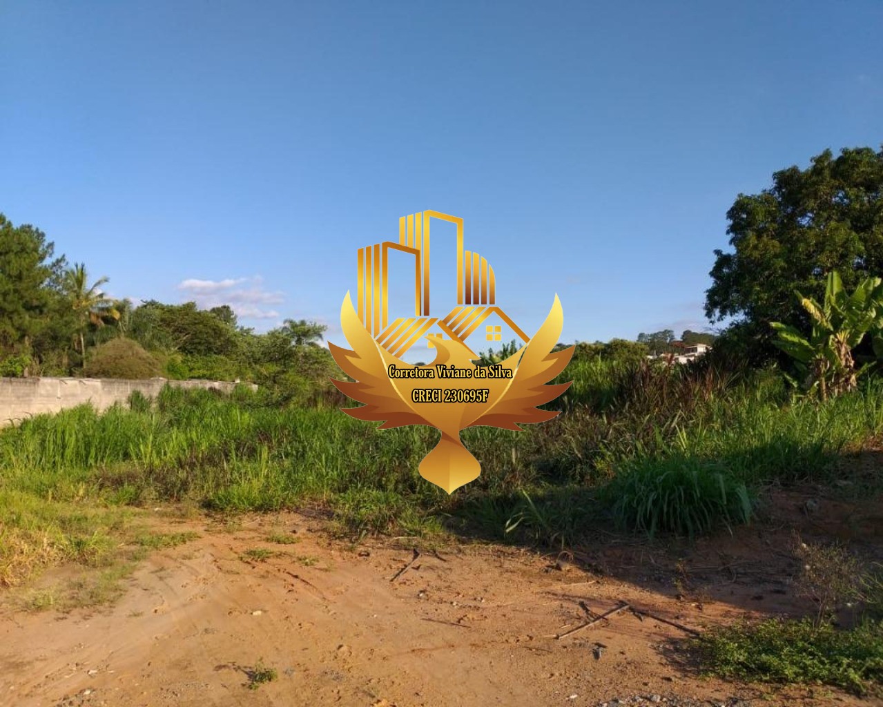 Terreno, 8105 m² - Foto 12