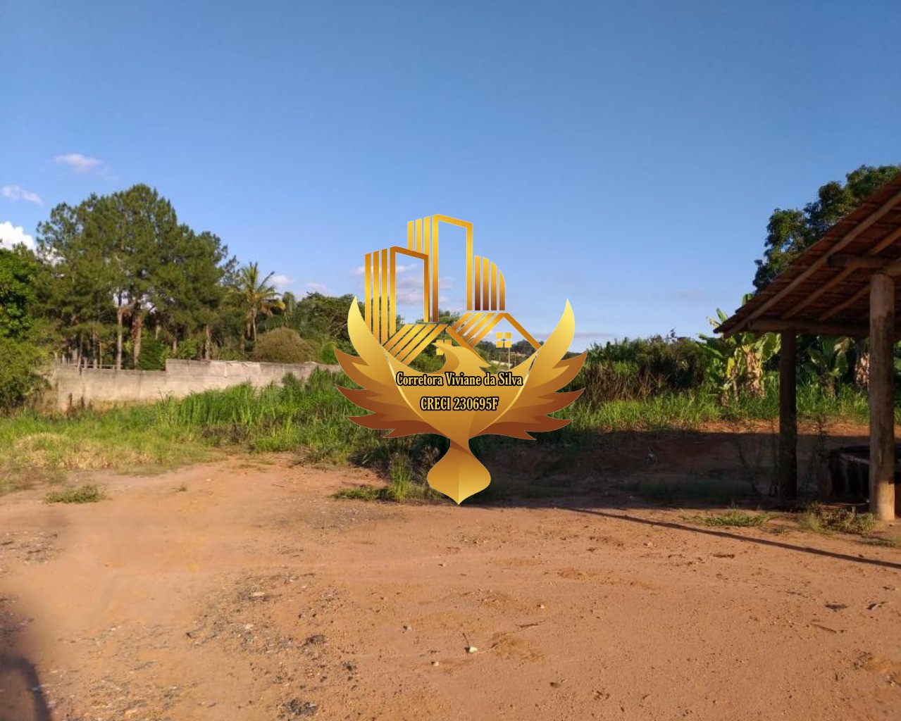 Terreno, 8105 m² - Foto 4