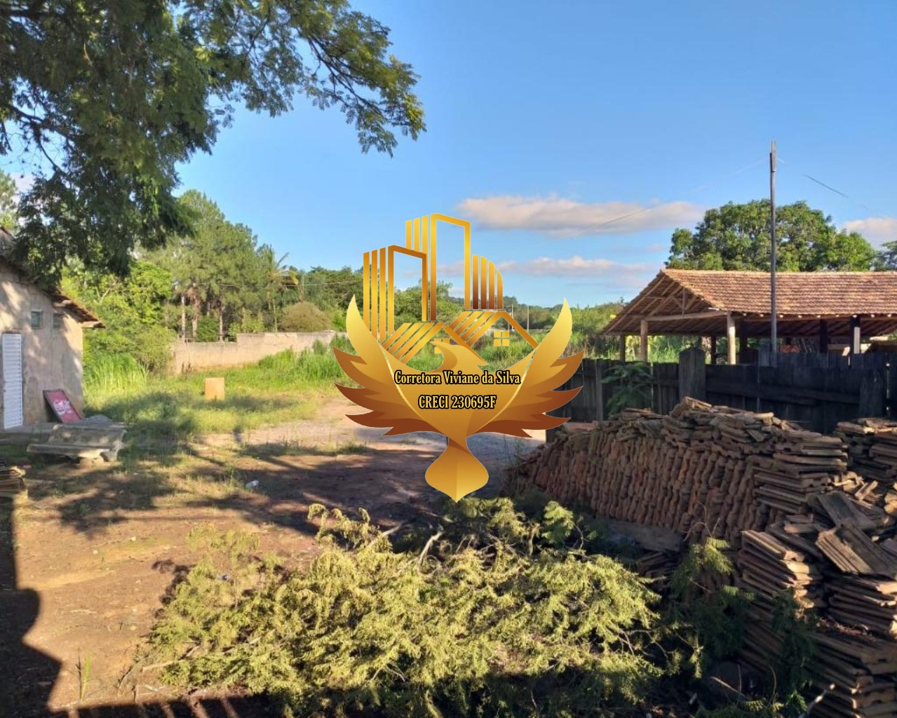 Terreno, 8105 m² - Foto 7