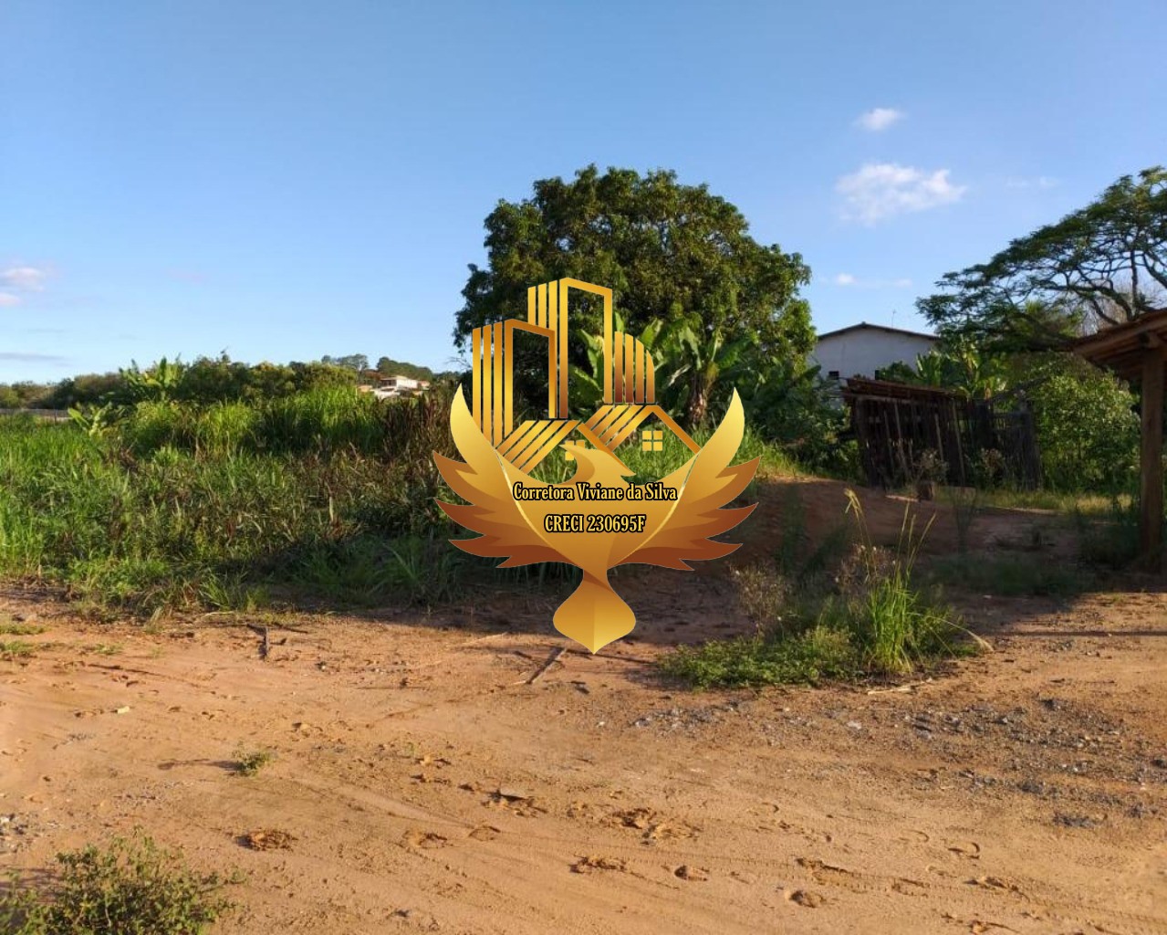 Terreno, 8105 m² - Foto 9