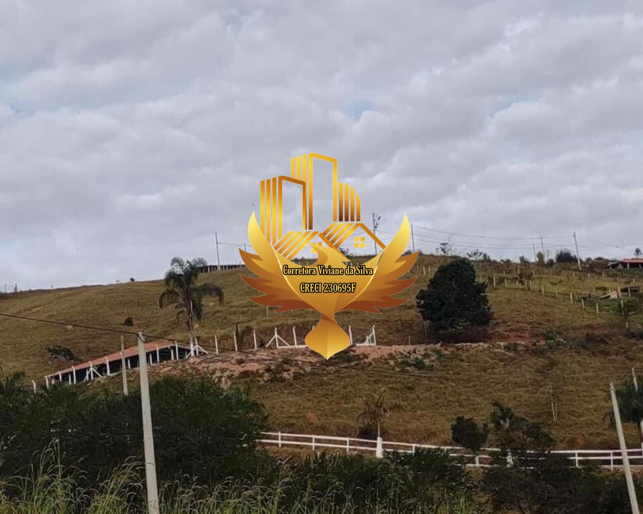 Chácara à venda com 3 quartos, 30000m² - Foto 22