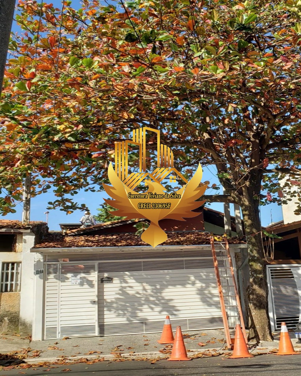 Casa, 3 quartos - Foto 3