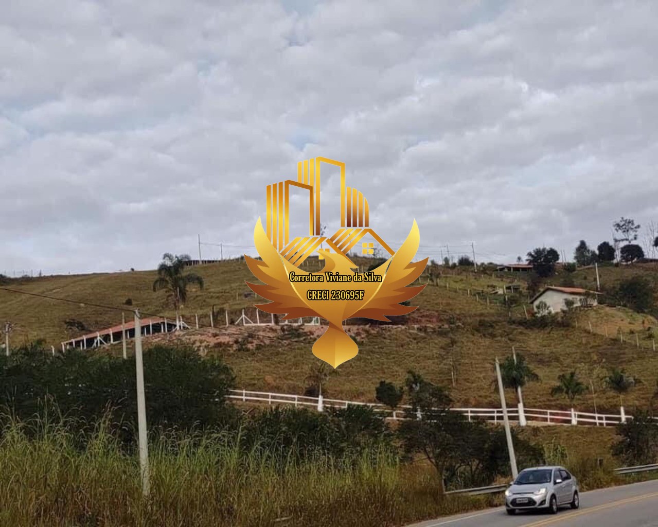 Chácara à venda com 3 quartos, 30000m² - Foto 27