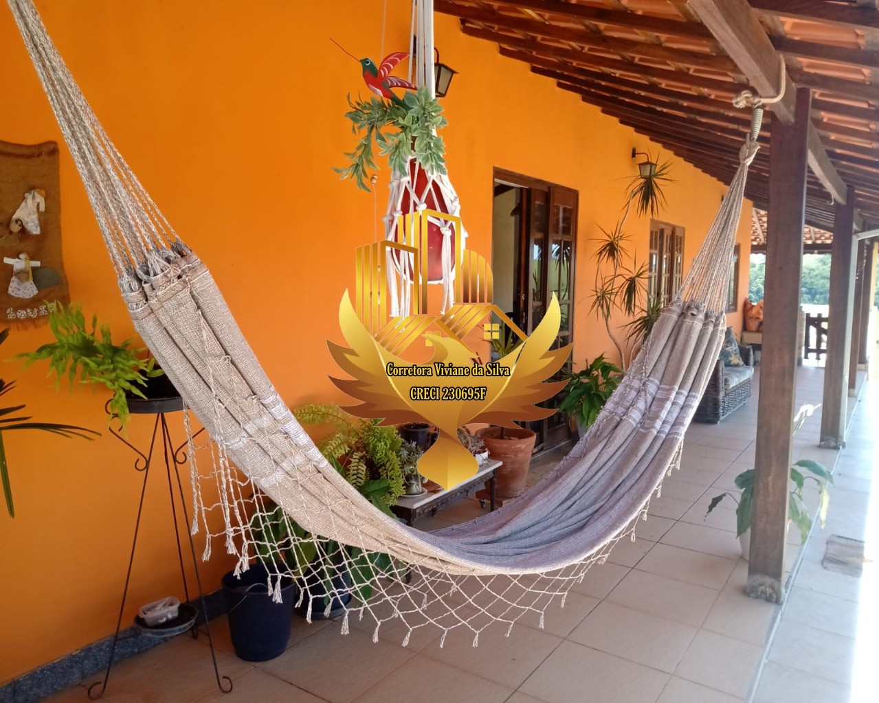 Chácara, 2 quartos, 2000 m² - Foto 1