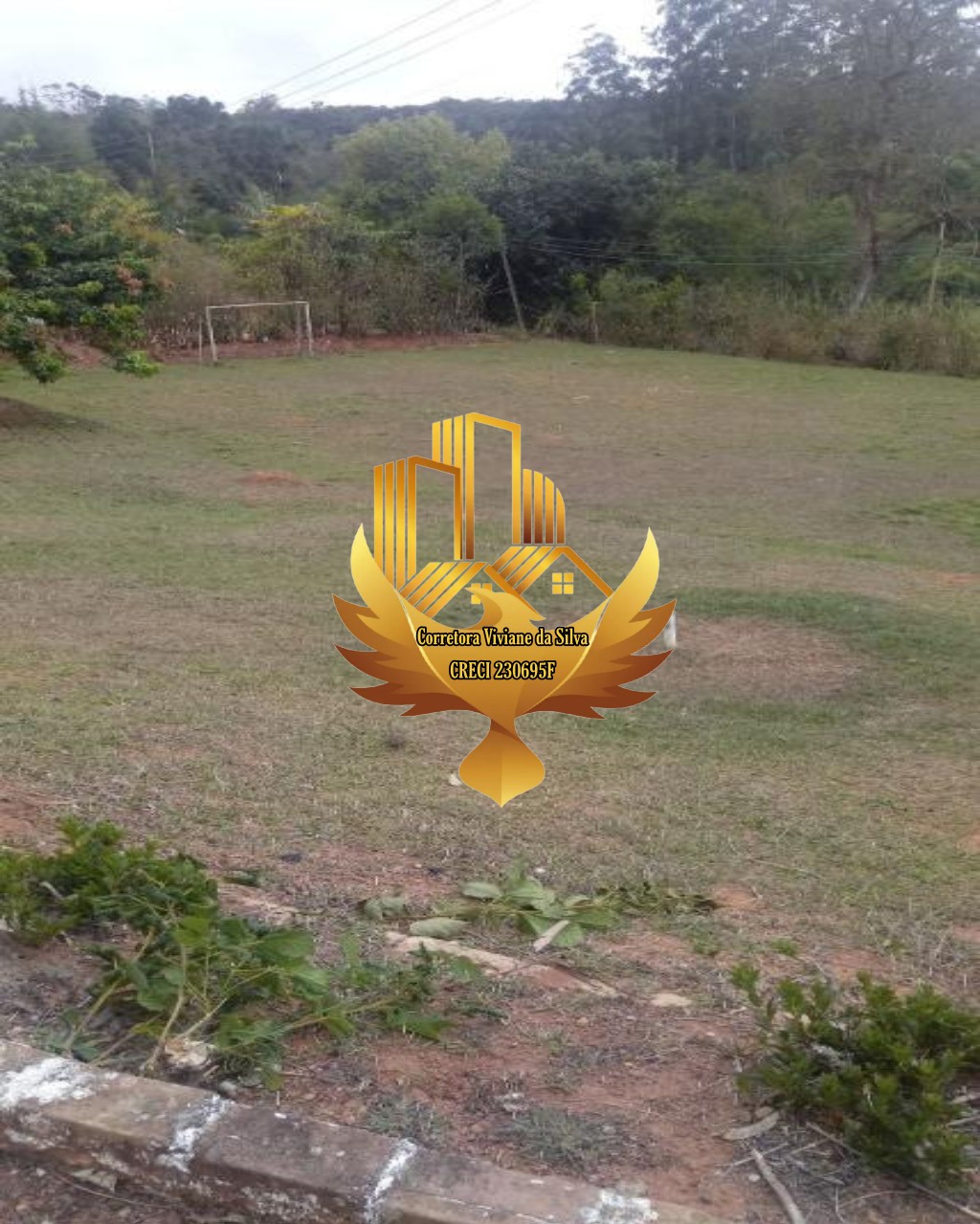 Sítio à venda com 5 quartos, 30200m² - Foto 21