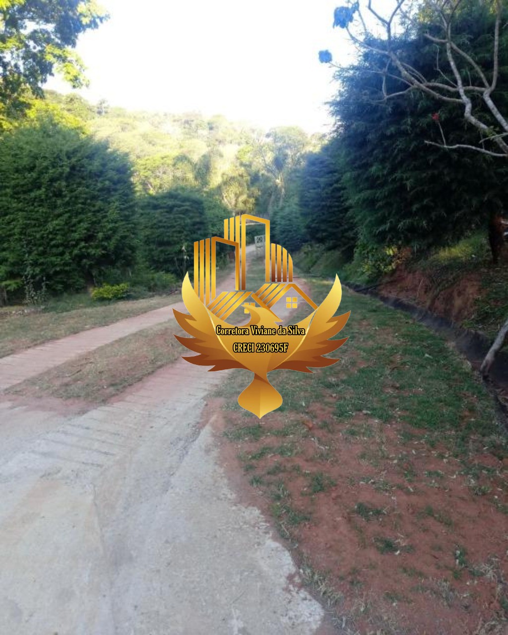 Sítio à venda com 5 quartos, 30200m² - Foto 22