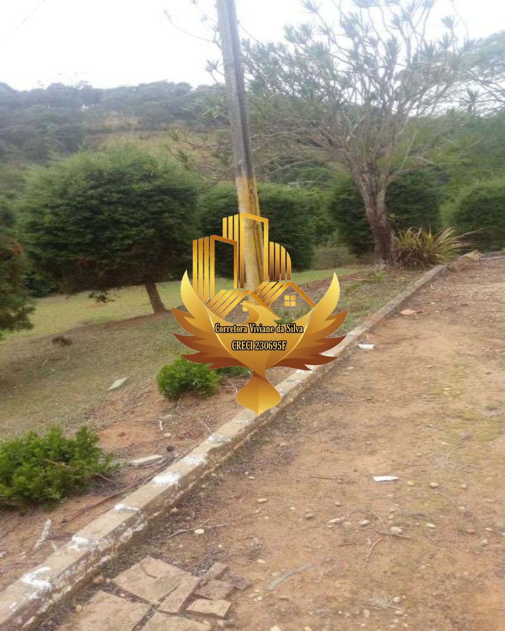 Sítio à venda com 5 quartos, 30200m² - Foto 20