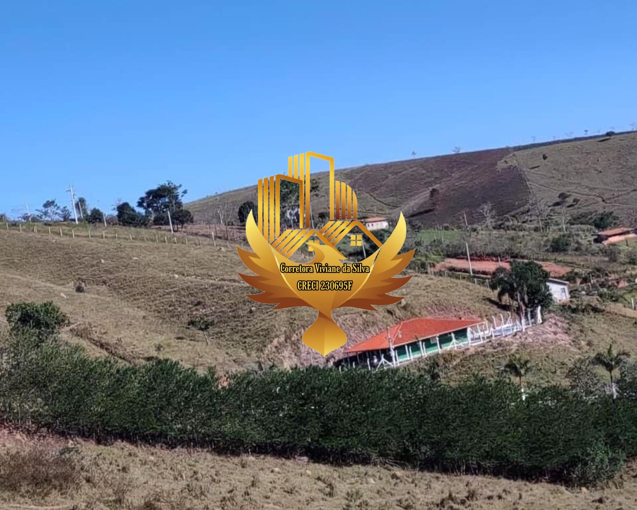 Chácara à venda com 3 quartos, 30000m² - Foto 28