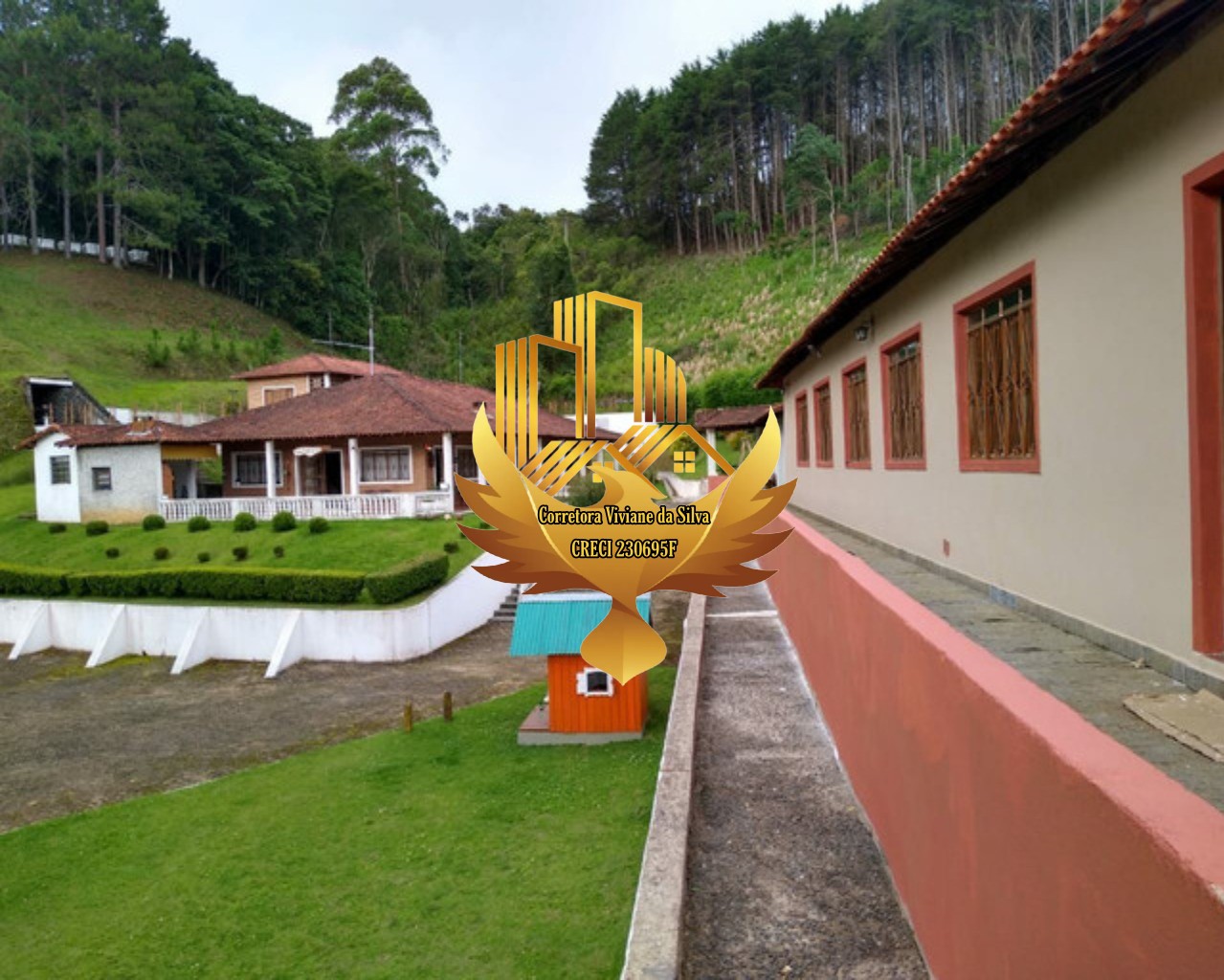 Sítio à venda com 7 quartos, 196800m² - Foto 19