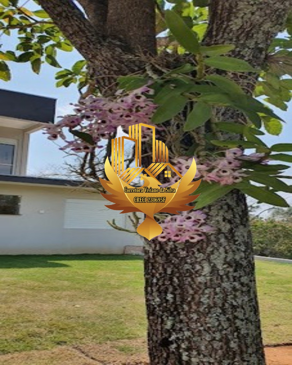 Casa, 3 quartos - Foto 16