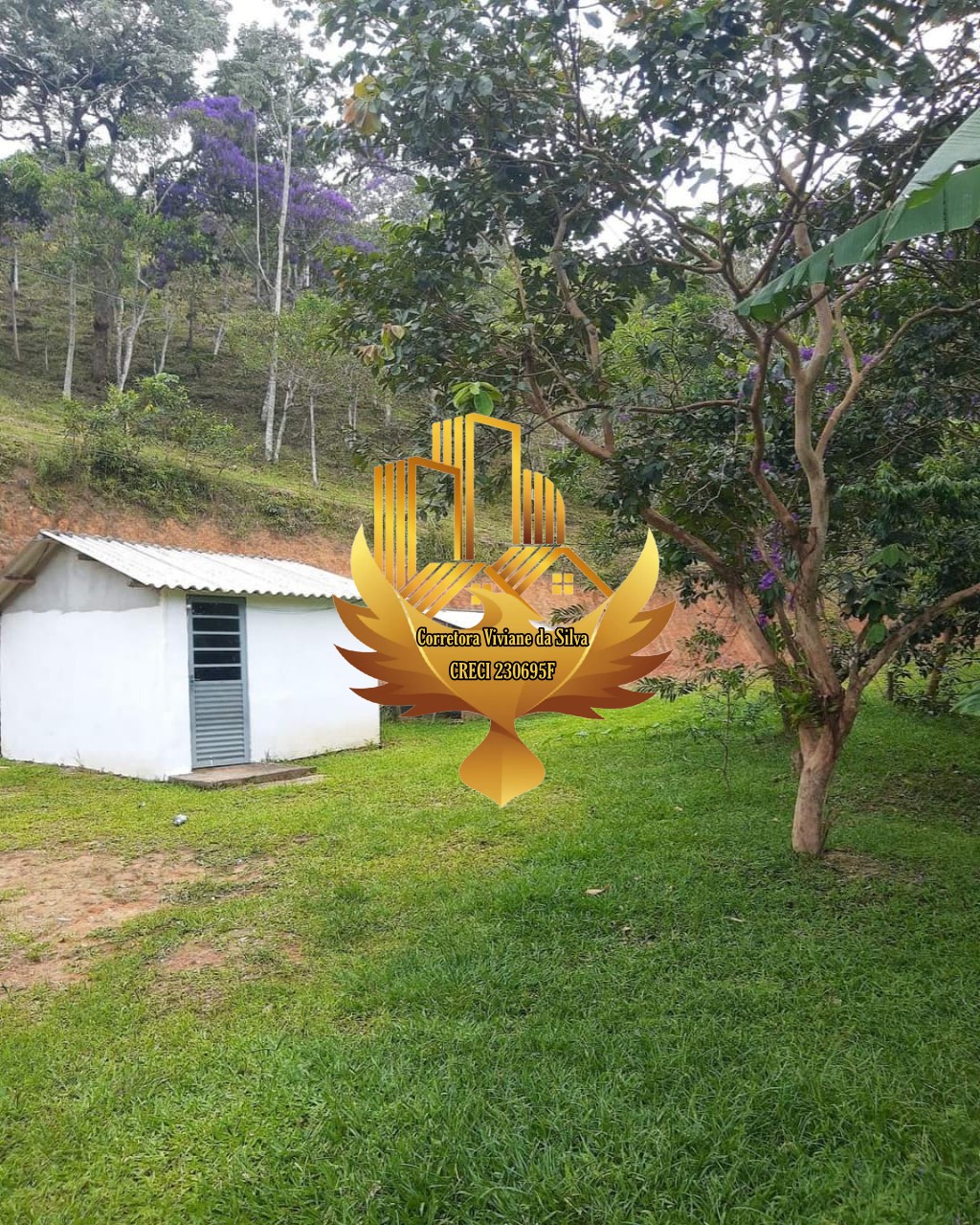 Sítio à venda com 2 quartos - Foto 32