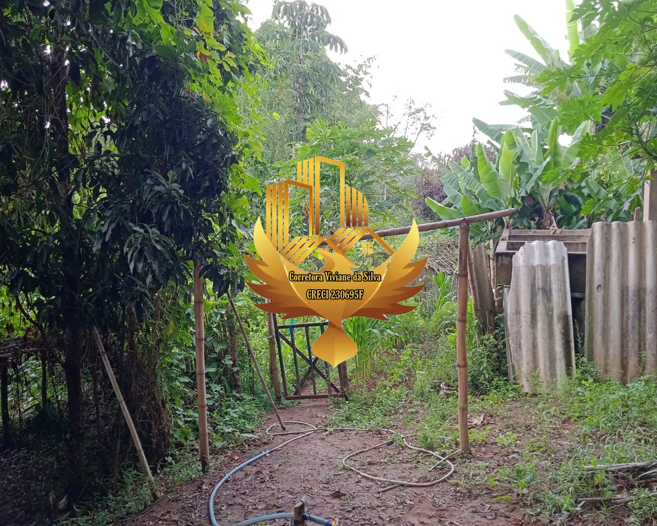 Sítio à venda com 2 quartos - Foto 6