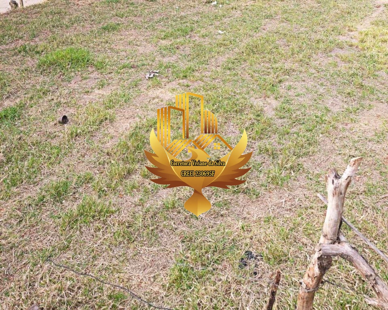 Terreno, 1000 m² - Foto 3