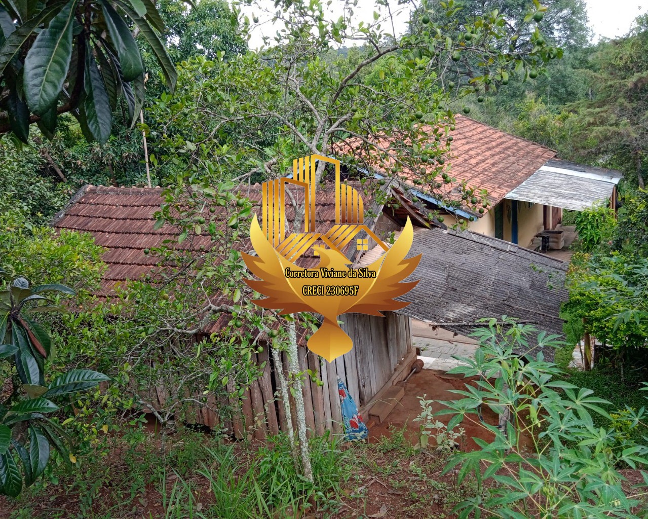 Sítio à venda com 2 quartos - Foto 9