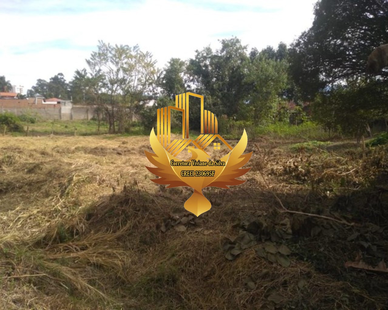 Terreno à venda, 6866m² - Foto 14