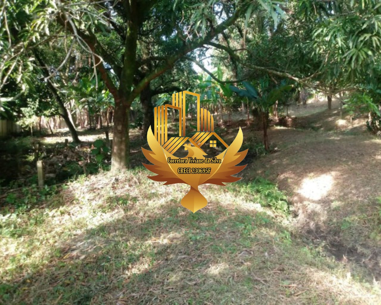 Terreno à venda, 6866m² - Foto 9