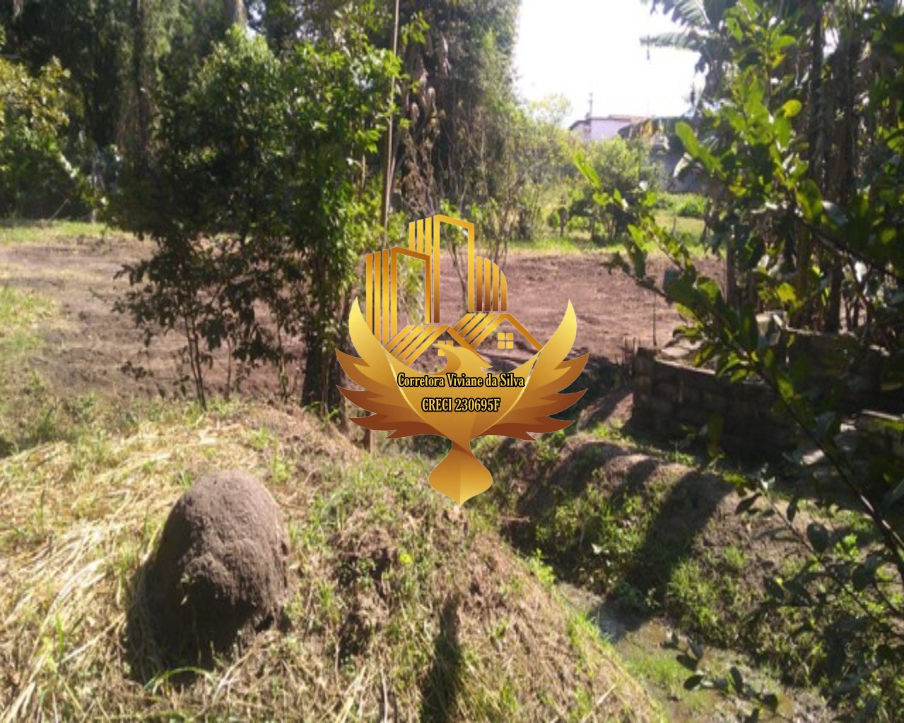 Terreno à venda, 6866m² - Foto 15