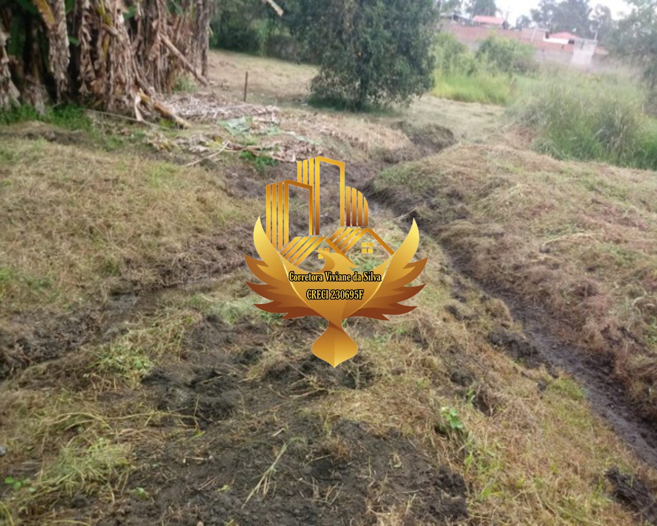 Terreno à venda, 6866m² - Foto 8