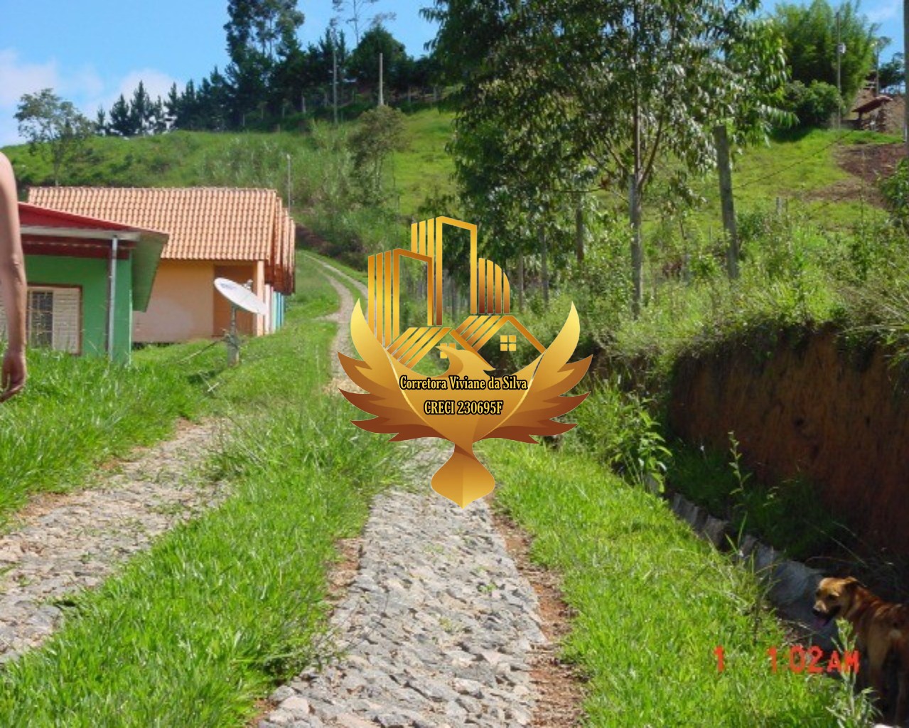 Sítio à venda com 3 quartos, 30000m² - Foto 11
