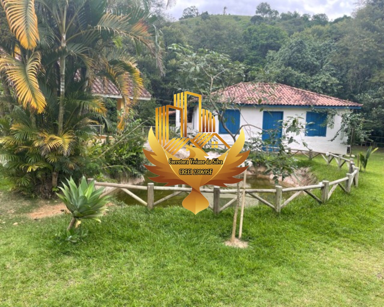 Sítio à venda com 3 quartos, 24200m² - Foto 13