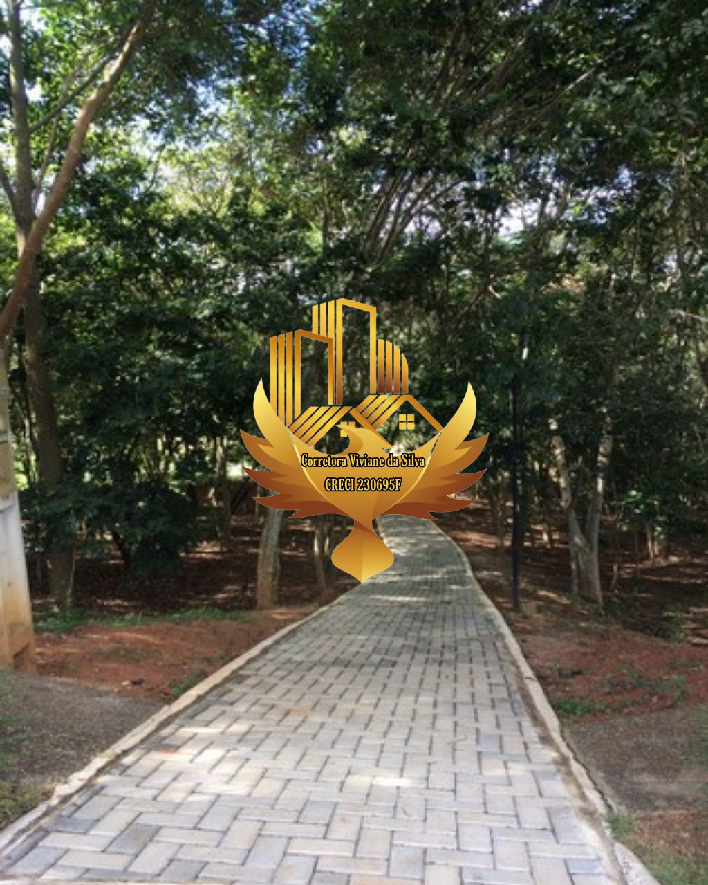 Terreno, 275 m² - Foto 7