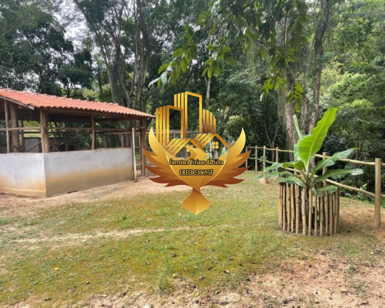 Sítio à venda com 3 quartos, 24200m² - Foto 16