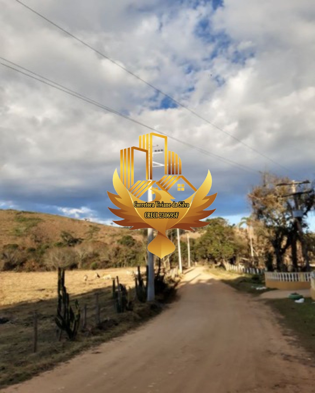 Haras e Área Rural Padrão à venda, 24000m² - Foto 4