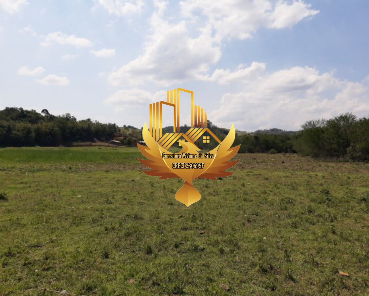 Haras e Área Rural Padrão à venda, 24000m² - Foto 8