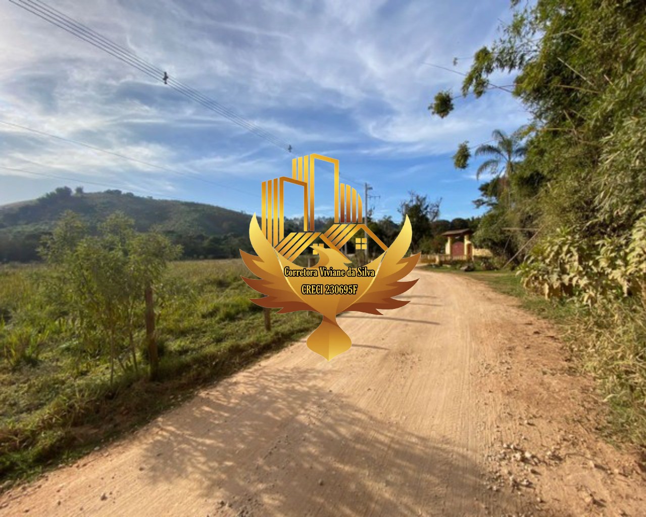 Haras e Área Rural Padrão à venda, 24000m² - Foto 3