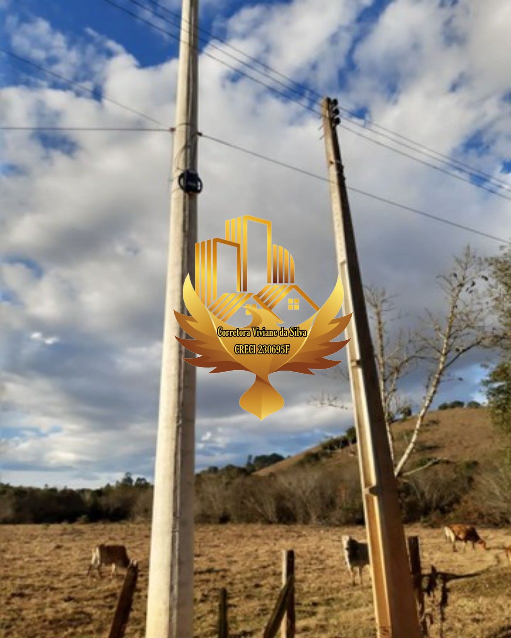 Haras e Área Rural Padrão à venda, 24000m² - Foto 7