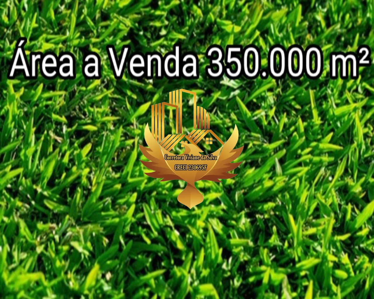 Terreno, 35 hectares - Foto 1
