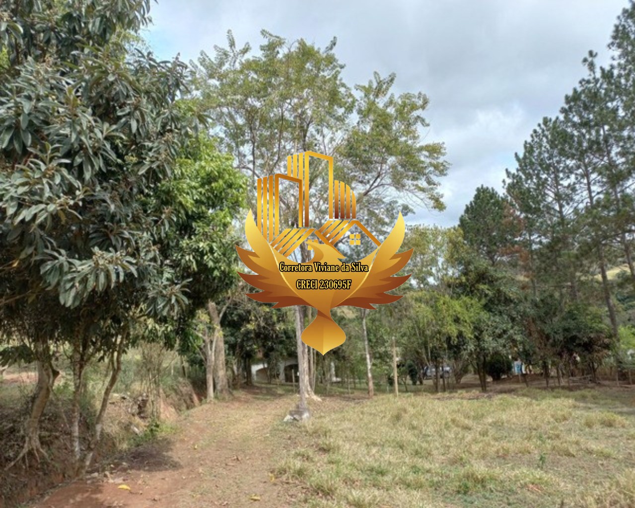 Sítio à venda com 3 quartos, 205700m² - Foto 9