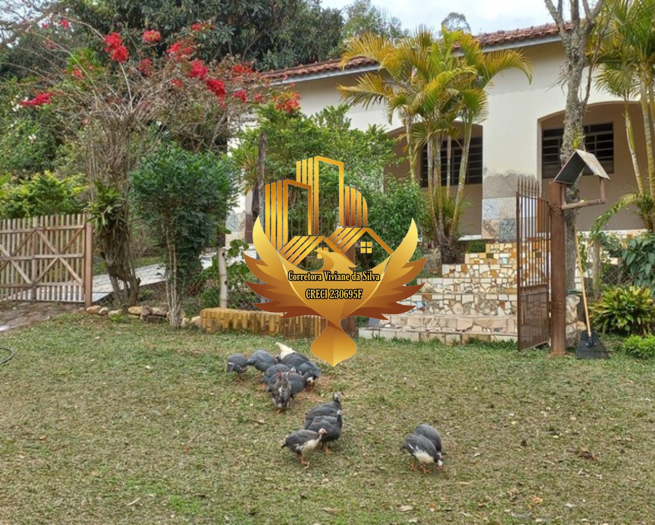 Sítio à venda com 3 quartos, 205700m² - Foto 1