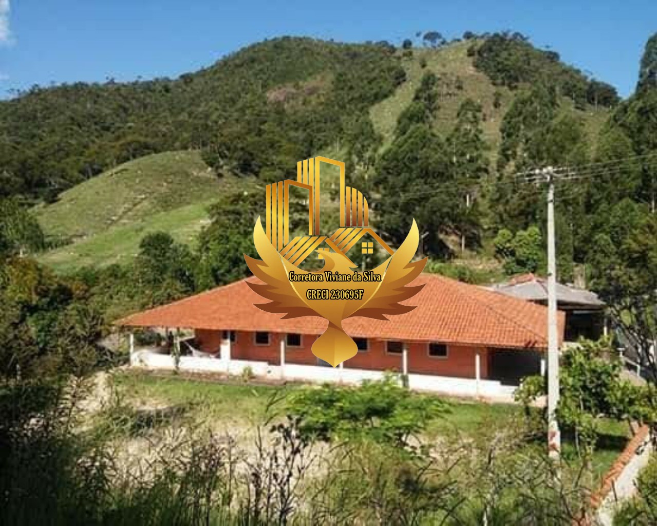 Chácara à venda com 4 quartos, 6500m² - Foto 1