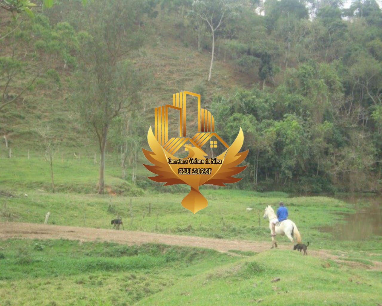 Fazenda à venda com 3 quartos, 1210000m² - Foto 5