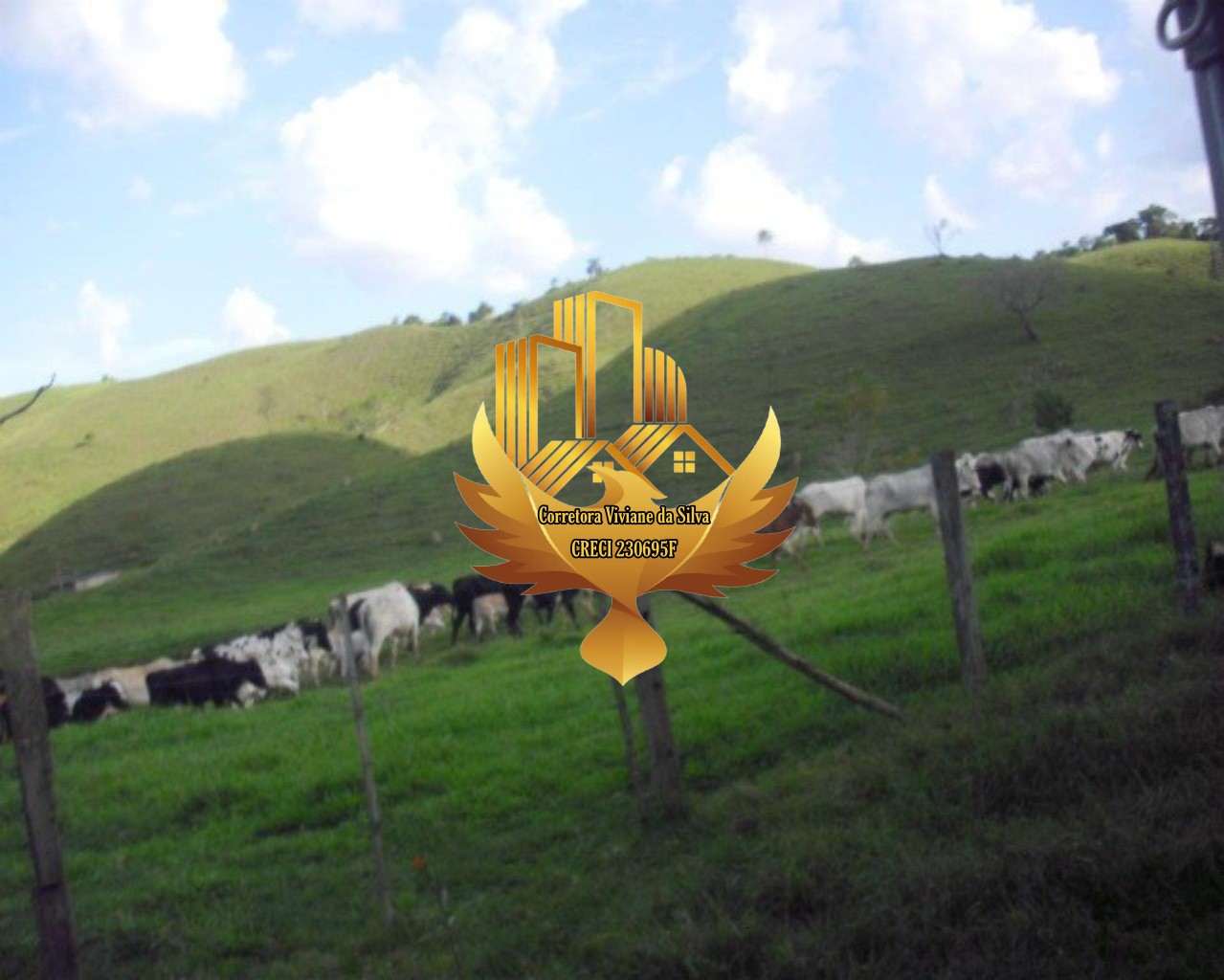 Fazenda à venda com 3 quartos, 1210000m² - Foto 3